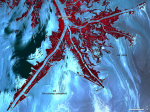 Veins in the Gulf